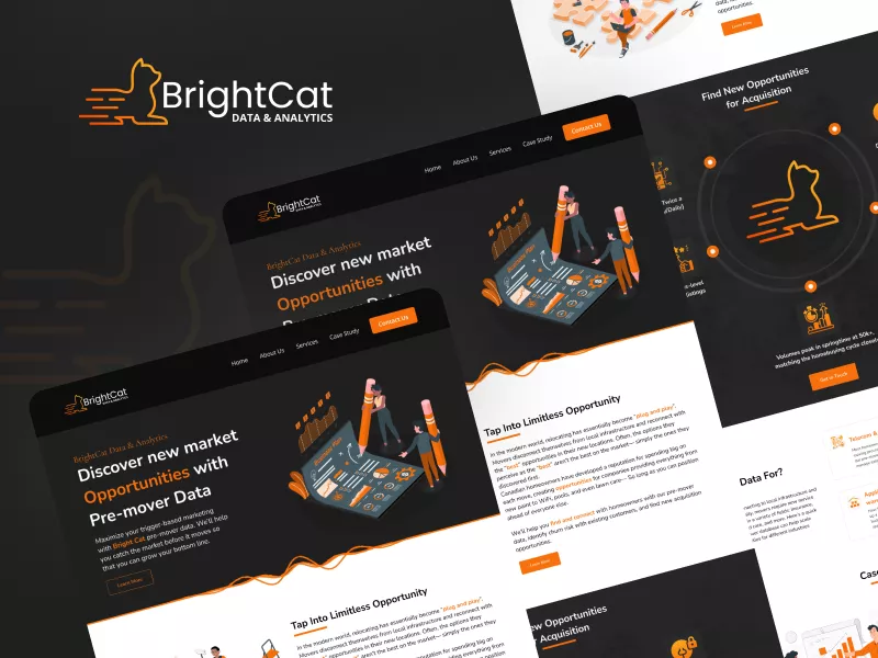 Brightcat - IT Consultant